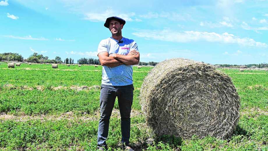 Viedma y Guardia Mitre, Río Negro. El éxito del ganadero Gonzalo Pazos se basa en complementar el secano en Guardia Mitre con el riego en el Idevi.