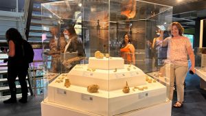 Innovadora Sala de Paleontología en el museo de Roca para maravillar a los más chicos