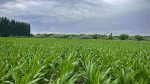 Productores y fotógrafos: la segunda semana de diciembre 2025 en la Patagonia, en cuatro fotos