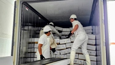 Río Negro: productores de la Región Sur concretaron el primer embarque de carne ovina de la temporada