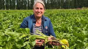 «Un hallazgo impensado»: trajo al país el cultivo con el que lograron 4.000 kilos de carne por hectárea