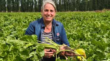 «Un hallazgo impensado»: trajo al país el cultivo con el que lograron 4.000 kilos de carne por hectárea