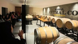 Sigue creciendo la Bodega que le gana al viento en Cutral Co