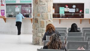 Salud sumará un Chat Bot para gestionar los turnos médicos en 13 hospitales de Río Negro