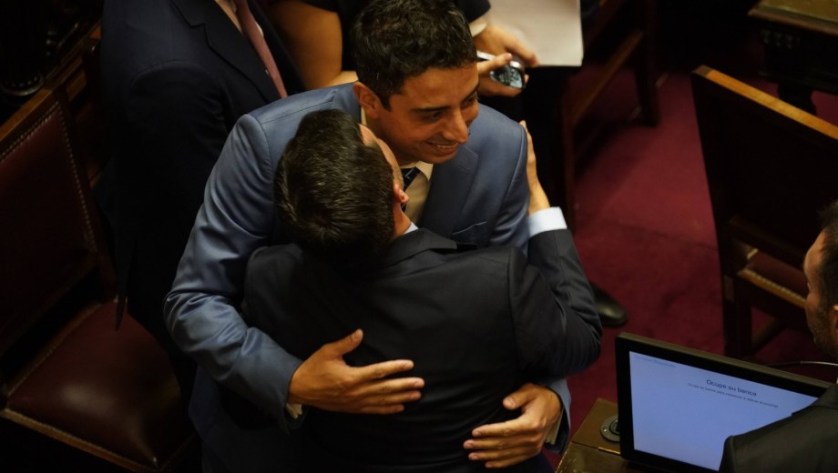 Fullone, durante la jura en la cámara de Senadores de este viernes. 