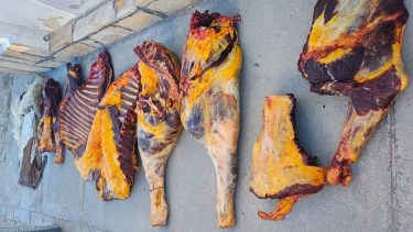 Operativo en Valcheta: decomisaron 150 kilos de carne equina que eran trasladados bajo una lona