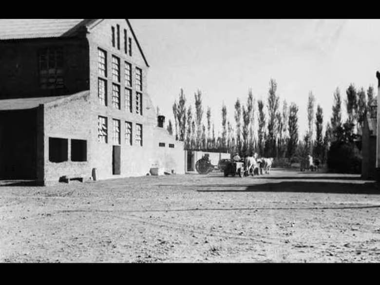 Apuntes de una bodega pionera en la Patagonia