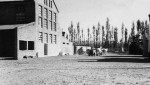 Apuntes de una bodega pionera en la Patagonia