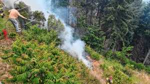 Incendios en la Patagonia: Río Negro en alerta máxima por la ola de calor