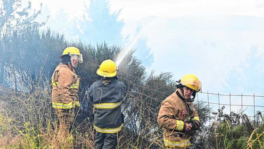 Incendio en Bariloche. Fotos: Alfredo Leiva 