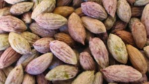 No tires más los carozos de aceituna: el «tesoro» oculto en tu cocina que pocos aprovechan