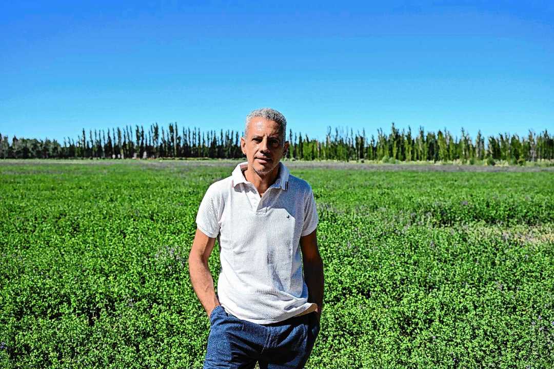Riego, impuestos y tierras productivas: R&iacute;o Negro busca redistribuir costos y frenar el avance urbano sobre los valles