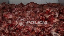 Imagen de Millonario decomiso de carne a días de la Navidad: 5 mil kilos y 340 chivitos en Rincón de los Sauces