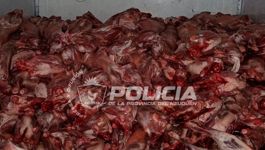 Millonario decomiso de carne a pocos días de Las Fiestas: 5 mil kilos y 340 chivos en Neuquén