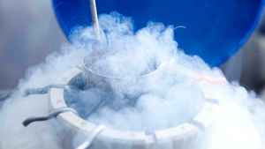 Acuerdo inusual en Río Negro: se separaron y pactaron el destino de los óvulos y embriones criopreservados