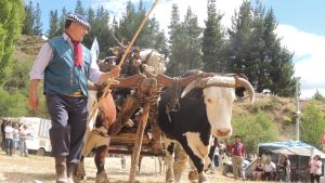 Esquel rural: historias que caminan el paisaje y experiencias para vivir la Patagonia secreta