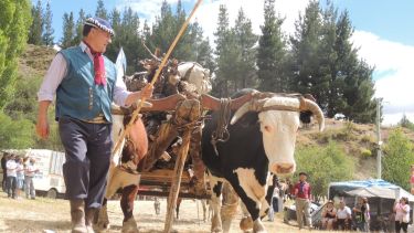 Esquel rural: historias que caminan el paisaje y experiencias para vivir la Patagonia secreta