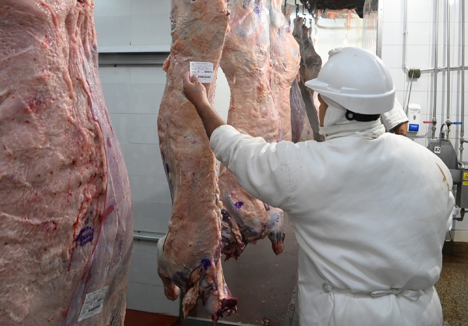 La faena de bovinos en Río Negro y Neuquén cayó casi un 10% interanual en  noviembre - Diario Río Negro