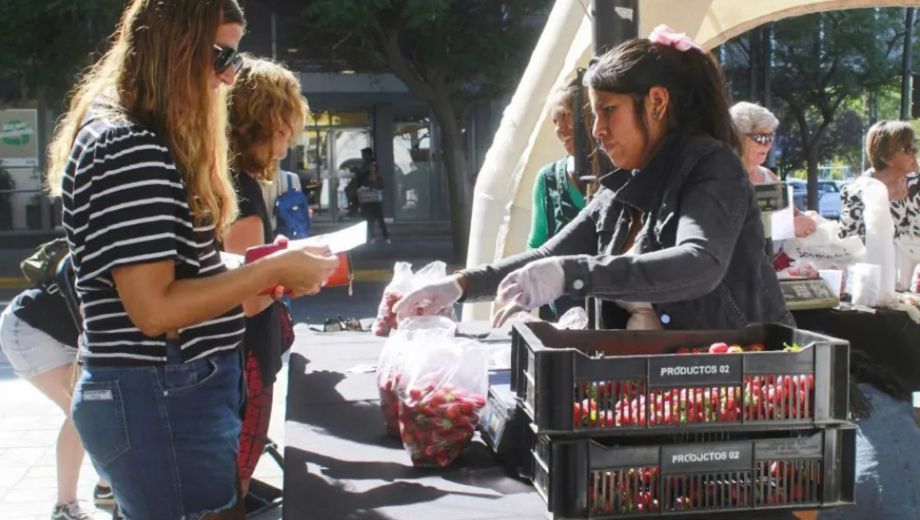 La Feria de Frutillas llega a Neuquén: frutas frescas a precios bajos, ¿cuándo se hará y dónde?
