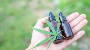 Neuquén autorizó a la primera ONG para el cultivo de cannabis medicinal