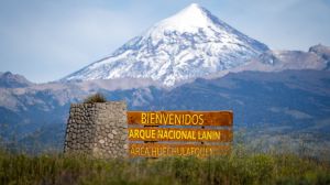 El parque Lanín quiere recuperar tierras ocupadas: «Vamos por el desalojo», dijo el nuevo intendente