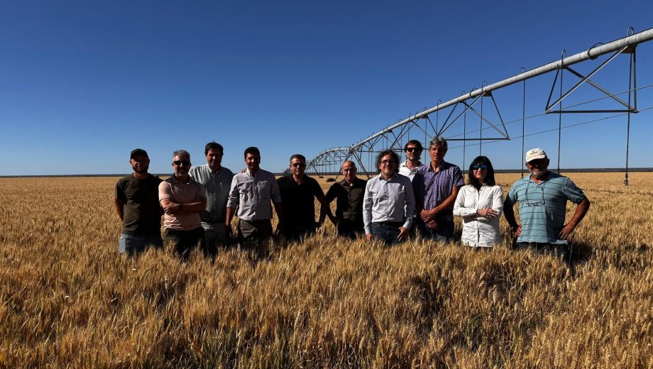 Funcionarios provinciales y técnicos de BID recorrieron campos de la zona. Foto: gentileza.