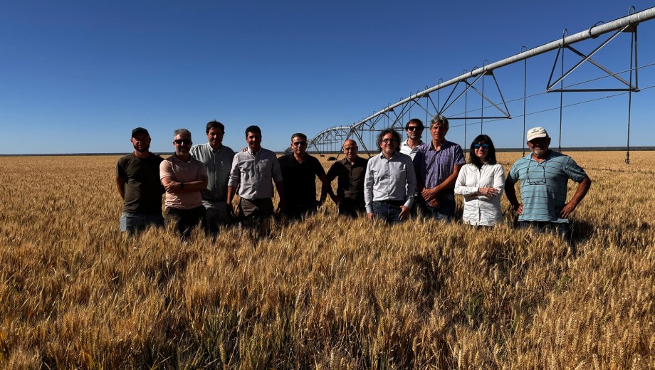 Funcionarios provinciales y técnicos de BID recorrieron campos de la zona. Foto: gentileza.