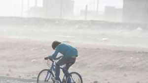 Cómo sigue la alerta por viento en Neuquén y Río Negro este sábado: el peor horario en el Alto Valle