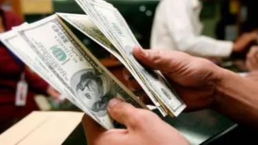 Según el Banco Central, se derrumbó la compra de dólares en noviembre después de las elecciones