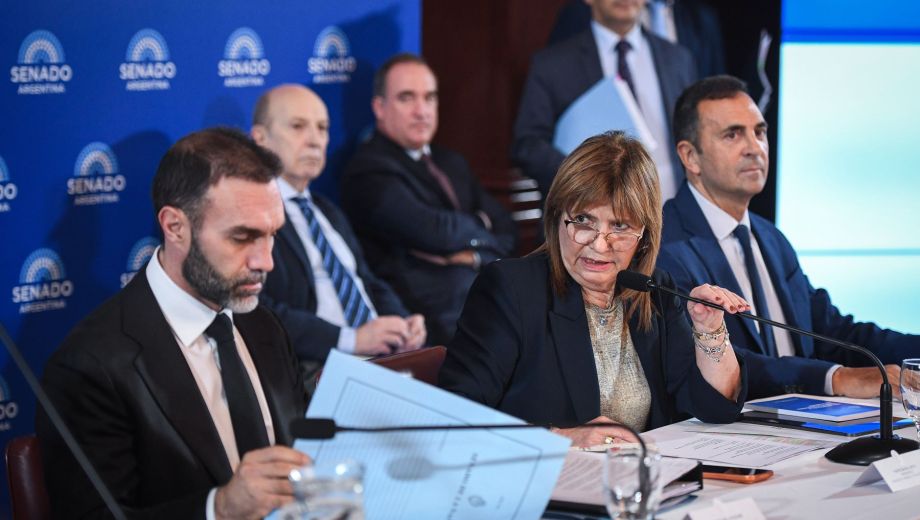 Foto: Gentileza Senado. 