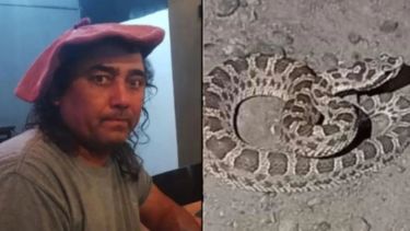 Murió el hombre que habría sido mordido por una yarará cerca de Cutral Co: estaba internado en Cipolletti, quién era