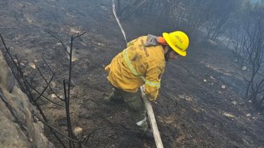 Riesgo de incendios en Río Negro: qué dice el parte del SPLIF para este lunes en Bariloche y El Bolsón