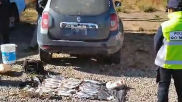 Golpe a la pesca ilegal en Bariloche: cinco personas fueron detectadas con 29 truchas arcoíris