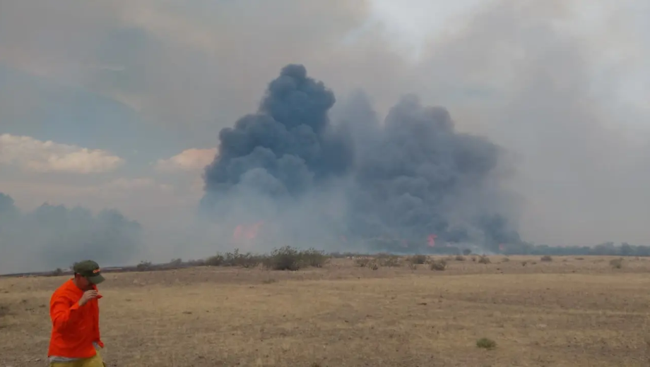 Un moderno sistema con IA refuerza el combate del fuego en Monte Bagual. Foto: gentileza.