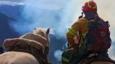 Contuvieron focos del incendio en Chubut que ya afectó 3000 hectáreas de bosque nativo