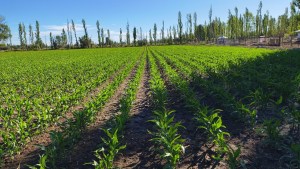 Productores y fotógrafos: la tercera semana de diciembre 2025 en la Patagonia, en cuatro fotos