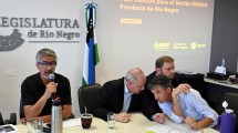 Imagen de Recursos hídricos en Río Negro: la empresa Mekorot presentó su informe ante la Legislatura