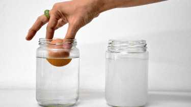 Verano 2026: Ciencia en ojotas, un simple elemento puede cambiarlo todo