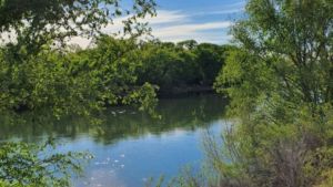 Encontraron un cuerpo en la zona del parque agreste del río Neuquén: podría tratarse del adolescente desaparecido