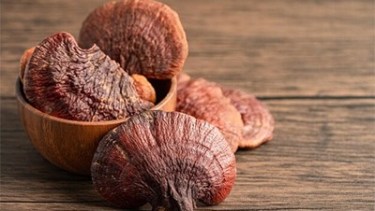 Qué es el hongo Reishi y por qué Agustina Cherri lo incorporó en todos sus productos de skincare