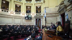 Presupuesto 2026, en disputa: los puntos que la oposición buscará eliminar en el Senado