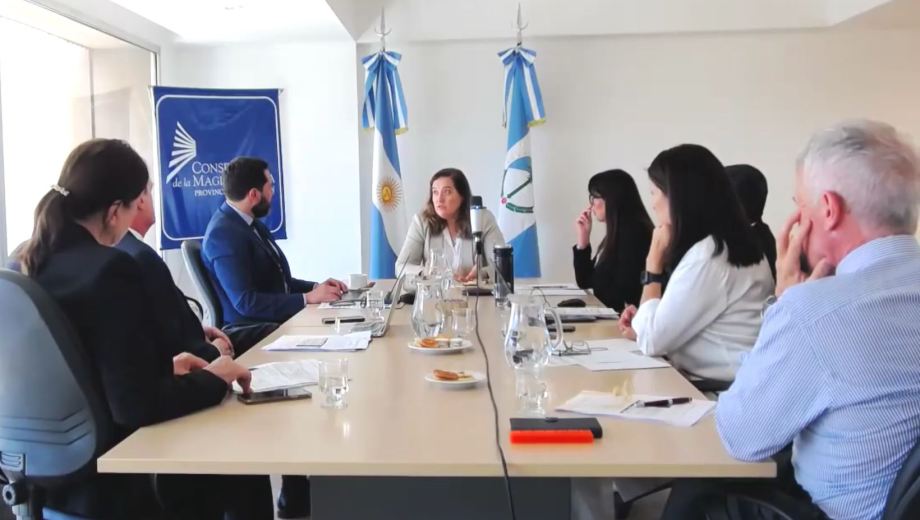 Laura Marcela Serrano, durante la entrevista personal en el Consejo. (Captura de video)