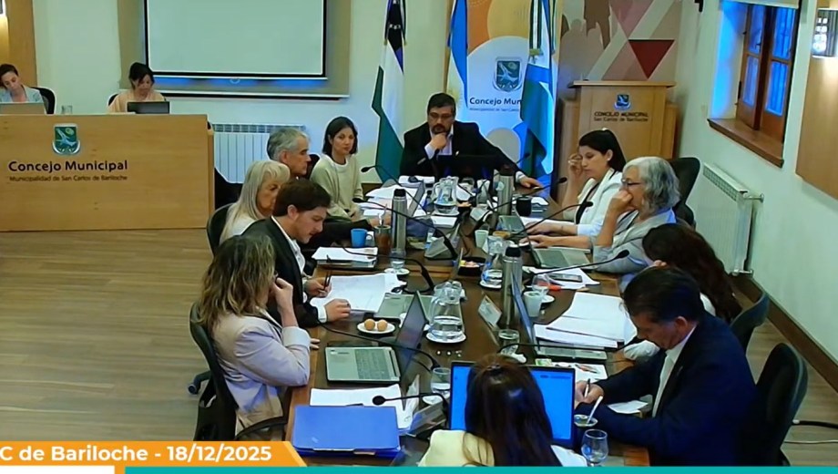 En la sesión de este jueves se aprobó el proyecto de presupuesto 2026, pero se rechazó la Fiscal y Tarifaria. (imagen de video)