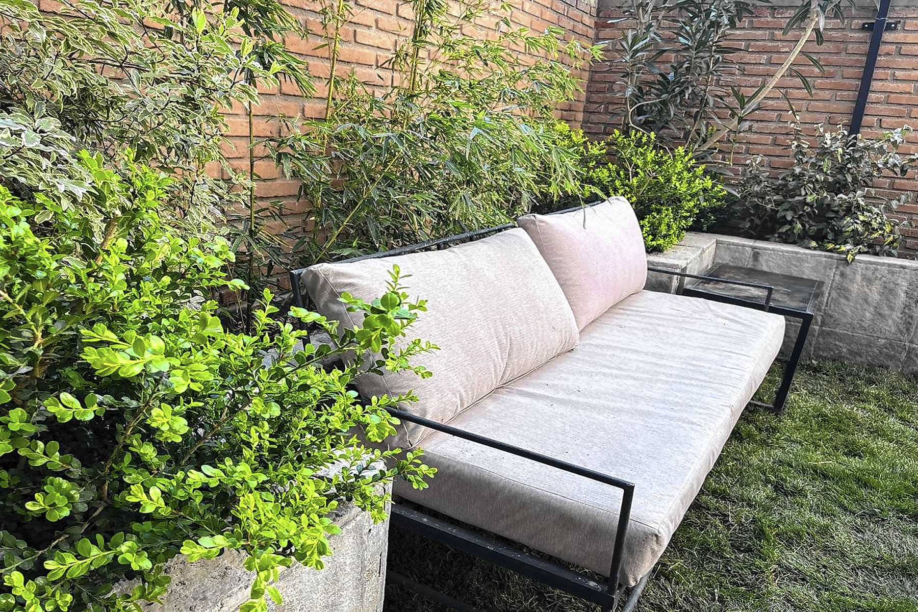 Las terrazas verdes ganan espacio en Neuquén y Cipolletti: cómo hacer un jardín en altura y que beneficios trae