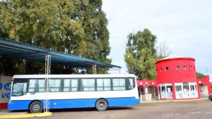 Viedma vuelve a conectar con El Cóndor y La Lobería: cómo será el servicio de colectivos, horarios y tarifas