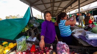 Apertura navideña: hoy funciona la Feria Municipal de Viedma para compras de último momento