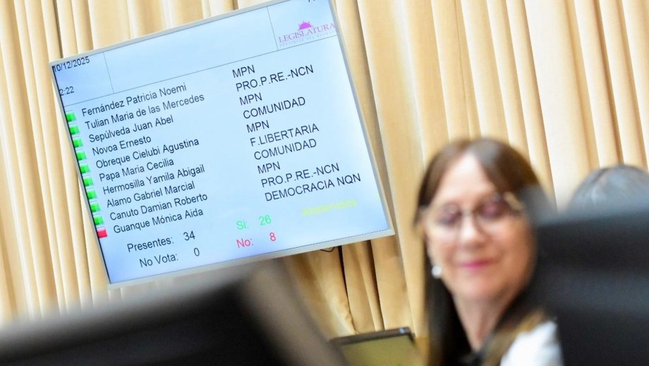 Zulma Reina, vicepresidenta primera de la Legislatura, durante la votación de la ley. Foto: Matías Subat.