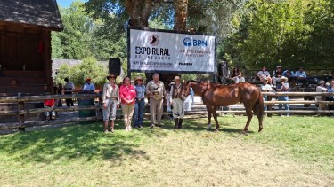 83° Expo Rural de Neuquén en Junín: mañana está prevista la inauguración con la visita del gobernador Rolando Figueroa