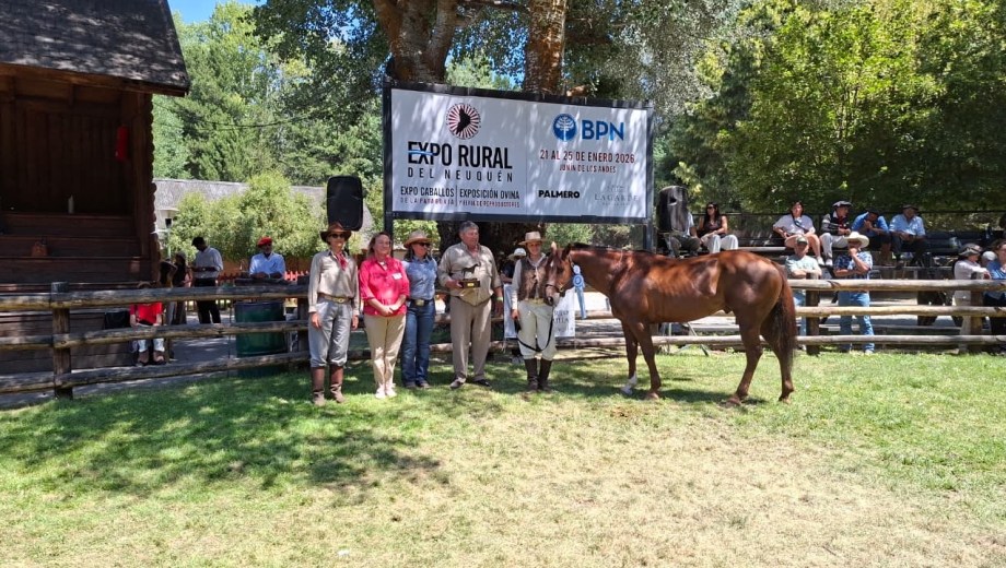 83° Expo Rural de Neuquén en Junín de los Andes. Premiación de Cuartos de Milla de Cabaña Alinco. (Fotos: José Cusit)