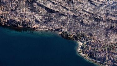 En fotos | Así quedó Chubut tras los incendios forestales: más de 35 mil hectáreas arrasadas por el fuego
